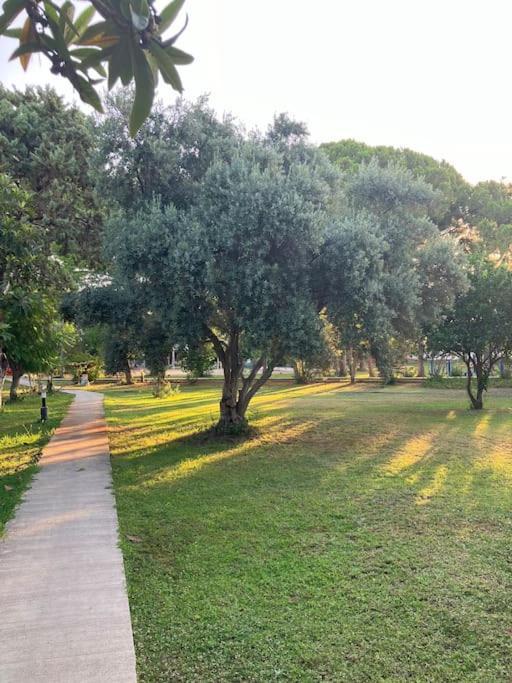 Villa S - Wonderful On The Antalya