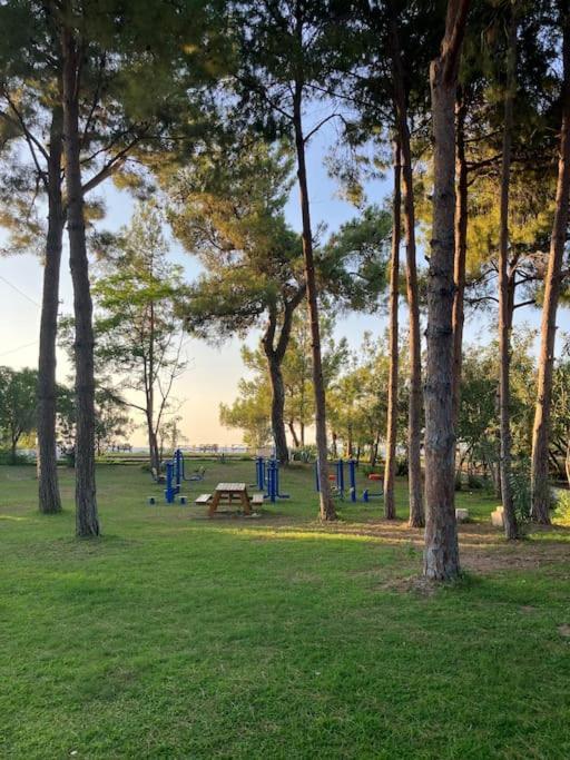 S - Wonderful On The Antalya